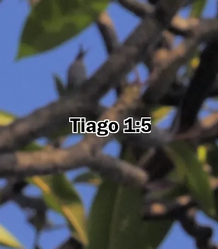 Tiago 1:5