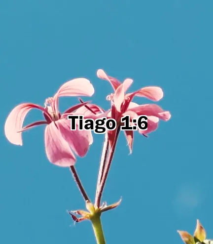 Tiago 1:6