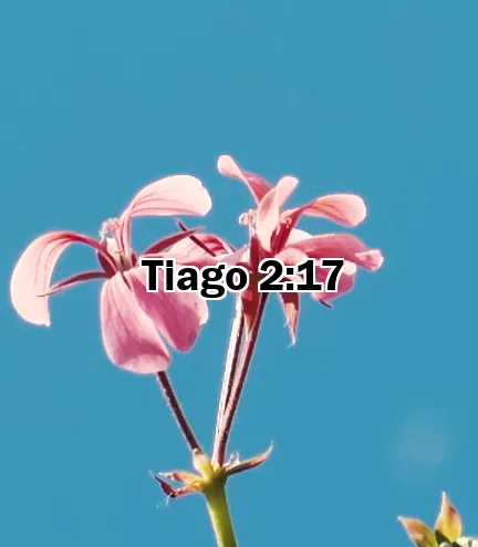 Tiago 2:17