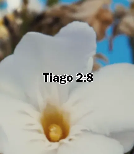 Tiago 2:8