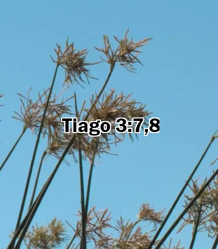 Tiago 3:7,8