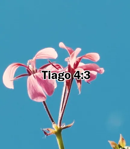 Tiago 4:3