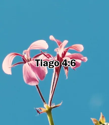 Tiago 4:6