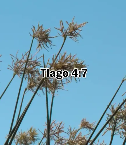 Tiago 4:7