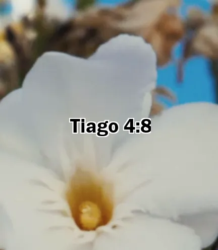 Tiago 4:8