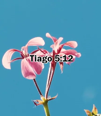 Tiago 5:12