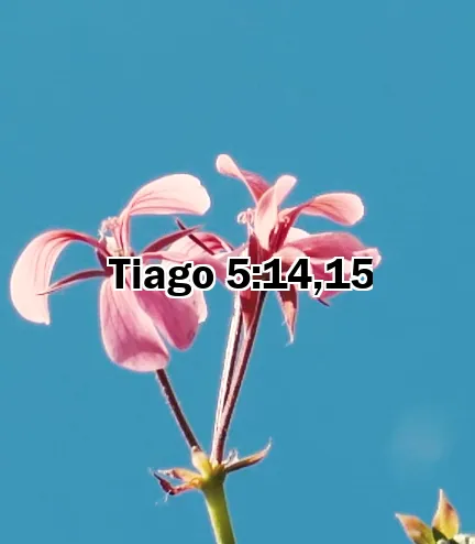 Tiago 5:14,15