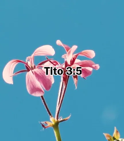 Tito 3:5