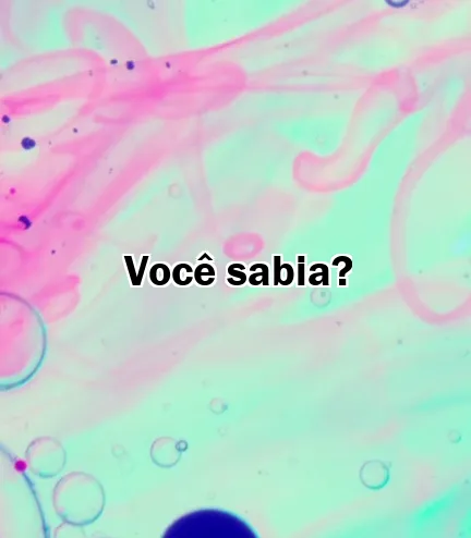 Você sabia?