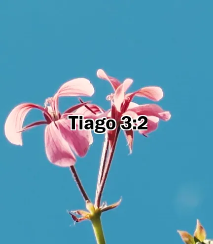 Tiago 3:2
