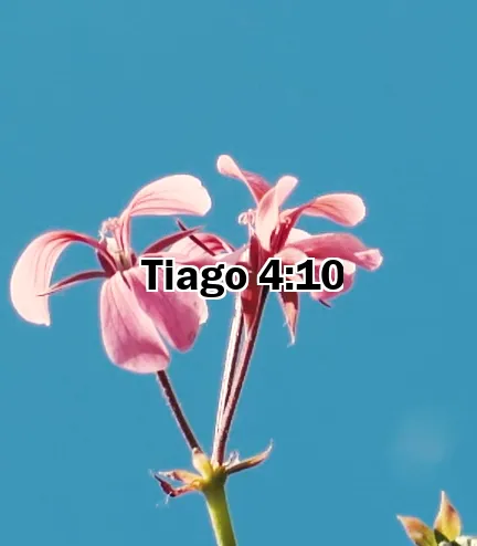 Tiago 4:10