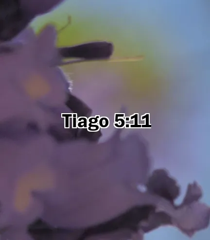 Tiago 5:11