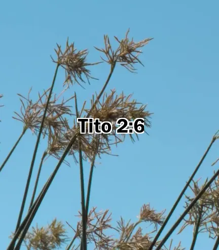 Tito 2:6